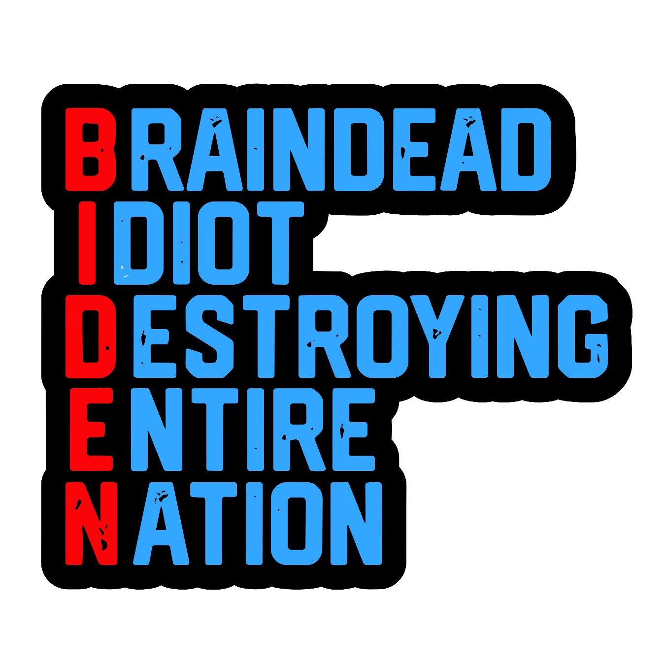 Biden - Braindead Idiot Destroying Entire Nation - Sticker Concepts