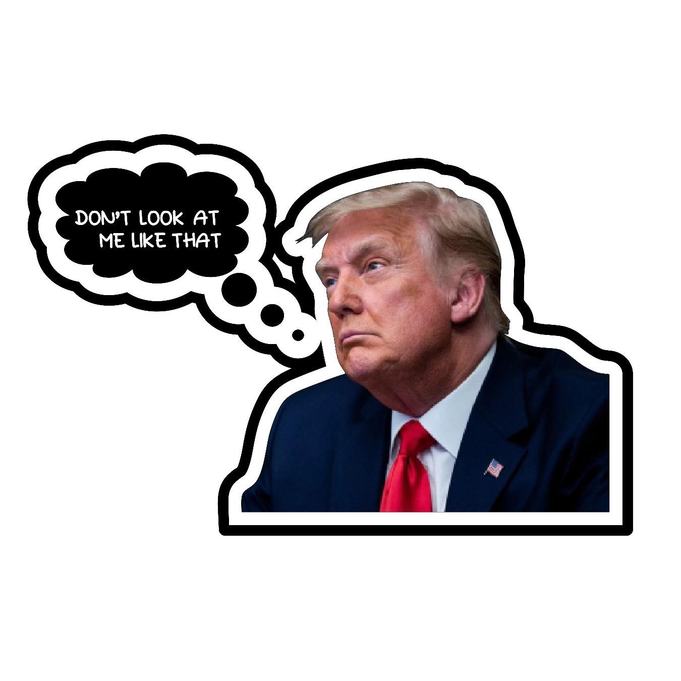 Trump - Dont Look At Me Like That - Sticker Concepts